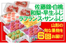 【定期便6回】☆フルーツ王国山形☆佐藤錦・白桃・和梨・早生ふじ・ラフ・りんご 【令和7年産先行予約】FU23-839 くだもの 果物 フルーツ 山形 山形県 山形市 2025年産
