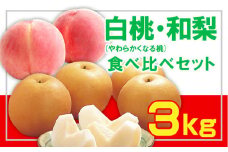 ☆フルーツ王国山形☆白桃 (やわらかくなる桃)・和梨食べ比べセット秀品 3kg 【令和7年産先行予約】FS23-852 くだもの 果物 フルーツ 山形 山形県 山形市 2025年産