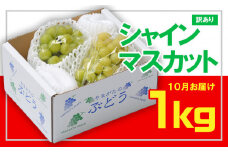 ☆フルーツ王国山形☆[訳あり] シャインマスカット1kg (1～3房)[10月お届け] 【令和7年産先行予約】FS23-854 くだもの 果物 フルーツ 山形 山形県 山形市 2025年産