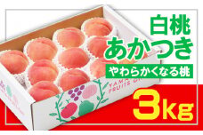 ☆フルーツ王国山形☆白桃あかつき秀品 3kg [やわらかくなる桃] 【令和7年産先行予約】FS23-823 くだもの 果物 フルーツ 山形 山形県 山形市 2025年産