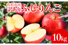 山形市産 家庭用 【訳あり・ふじりんご】10kg (32~56玉)※数量限定 FY25-847