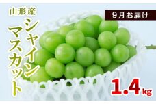 山形産 シャインマスカット 1.4kg(2～4房) 9月お届け 【令和7年産先行予約】FS23-855 フルーツ くだもの 果物 山形 山形県 山形市 2025年産