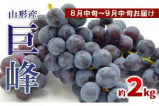 山形のぶどう 巨峰 秀品 約2kg(3～6房)[8月中旬～9月中旬お届け] 【令和7年産先行予約】FS24-651くだもの 果物 フルーツ 山形 山形県 山形市 2025年産