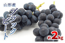 山形のぶどう ブラックビート 秀品 約2kg(3～6房) 【令和7年産先行予約】FS24-653くだもの 果物 フルーツ 山形 山形県 山形市 2025年産