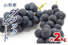 山形のぶどう ブラックビート 秀品 約2kg(3～6房) 【令和7年産先行予約】FS24-653くだもの 果物 フルーツ 山形 山形県 山形市 2025年産