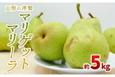 山形の洋梨 マリゲットマリーラ 秀品 約5kg(7～15玉) 【令和7年産先行予約】FS23-863 くだもの 果物 フルーツ 山形 山形県 山形市 2025年産