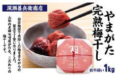 やまがた完熟 梅干し 粒不揃い 1kg FY23-740