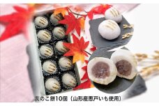SDGs 悪戸いもの親芋使用！「亥のこ餅」10個 FY23-754 お菓子 山形県 山形市