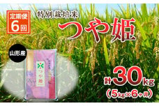 【定期便6回】特別栽培米 つや姫 5kg×6ヶ月(計30kg) FZ23-751 精米 ブランド米 山形県 山形市