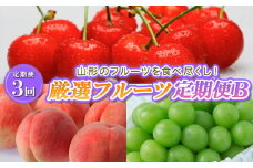 【定期便3回】山形のフルーツを食べ尽くし！厳選フルーツ定期便B 【令和7年産先行予約】FS23-858 くだもの 果物 フルーツ 山形 山形県 山形市 2025年産