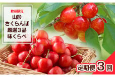 【定期便3回】数量限定 山形さくらんぼ 厳選3品味くらべ 【令和7年産先行予約】FS23-865 くだもの 果物 フルーツ 山形 山形県 山形市 2025年産