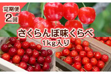 【定期便2回】さくらんぼ 味くらべ 1kg入り 【令和7年産先行予約】FS23-866 くだもの 果物 フルーツ 山形 山形県 山形市 2025年産