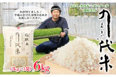 こだわりのお米 極献上 「九代米(くだいまい)」コシヒカリ 6kg(2kg×3袋)【米・食味鑑定士協会コンクール国際大会連続受賞米】 FY23-763 ブランド米 山形県 山形市