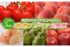【定期便5回】山形のフルーツを食べ尽くし！厳選フルーツ定期便 【令和7年産先行予約】FS24-542くだもの 果物 フルーツ 山形 山形県 山形市 2025年産