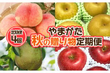 【定期便4回】やまがた 秋の贈り物定期便【令和7年産先行予約】FU23-877 くだもの 果物 フルーツ 山形 山形県 山形市 2025年産