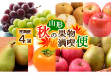 【定期便4回】山形秋の果物 満喫便【令和7年産先行予約】FS24-614くだもの 果物 フルーツ 山形 山形県 山形市 2025年産