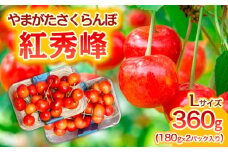 やまがた さくらんぼ 紅秀峰 Lサイズ 360g(180g×2パック入り) 1箱【令和8年産先行予約】FS25-575 くだもの 果物 フルーツ 山形 山形県 山形市 2026年産