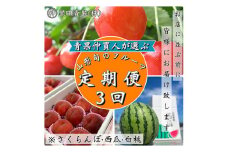 【定期便3回】青果仲買人が選ぶ！山形旬のフルーツ3選！[さくらんぼ・すいか・白桃]【令和7年産先行予約】FS24-597くだもの 果物 フルーツ 山形 山形県 山形市 2025年産