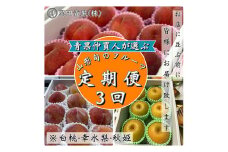 【定期便3回】青果仲買人が選ぶ！山形旬のフルーツ3選！[白桃・幸水梨・秋姫]【令和7年産先行予約】FS24-596くだもの 果物 フルーツ 山形 山形県 山形市 2025年産