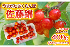 やまがた さくらんぼ 佐藤錦 "希少な大粒" 2Lサイズ 400g(200g×2パック入り) 1箱【令和7年産先行予約】FS23-886 くだもの 果物 フルーツ 山形 山形県 山形市 2025年産