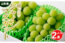 朝どりシャインマスカット 秀品 2房 約1.3kg【令和7年産先行予約】 FS24-010 くだもの 果物 フルーツ 山形 山形県 山形市 2025年産