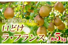 山形果実の女王 口どけラ・フランス 秀品 5kg FY24-012