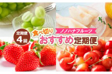 【定期便4回】ノノハナフルーツ　食べ切りおすすめ定期便 FY25-811