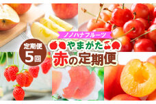 【定期便5回】ノノハナフルーツ やまがた赤の定期便 FY25-812