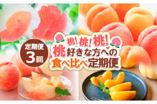 【定期便3回】桃！桃！桃！桃好きな方への食べ比べ定期便【令和7年産先行予約】 FS24-017 くだもの 果物 フルーツ 山形 山形県 山形市 2025年産