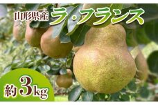 山形県産 ラ・フランス 秀品 約3kg(6～12玉) FY24-027