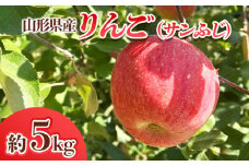 山形県産 りんご (サンふじ) 約5kg(14～25玉) FY24-028