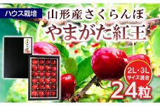 ハウス栽培 山形市産さくらんぼ【やまがた紅王 特選品】2L,3L混合 24粒 FY25-848