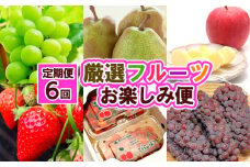 【定期便６回】厳選フルーツお楽しみ FY25-827