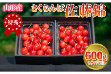 さくらんぼ 「佐藤錦」 600g 特秀品 Lサイズ以上 山形産 【令和7年産先行予約】 FS24-669 くだもの 果物 フルーツ 山形 山形県 山形市 2025年産