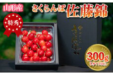さくらんぼ 「佐藤錦」 300g 特秀品 Lサイズ以上 山形産【令和7年産先行予約】 FS24-668 くだもの 果物 フルーツ 山形 山形県 山形市 2025年産