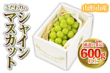 【厳選の1房】こだわりの シャインマスカット 600g以上 山形市産 (9月中旬～10月上旬順次発送) 【令和7年産先行予約】FS24-543くだもの 果物 フルーツ 山形 山形県 山形市 2025年産