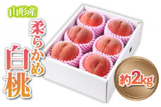 山形産 柔らかめ 「白桃」 秀品 約2kg (5玉～8玉) 【令和7年産先行予約】FS24-081 くだもの 果物 フルーツ 山形 山形県 山形市 2025年産