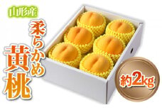 山形産 柔らかめ 「黄桃」 秀品 約2kg (5玉～8玉)【令和7年産先行予約】 FS24-082 くだもの 果物 フルーツ 山形 山形県 山形市 2025年産