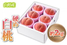山形産 硬め 「白桃」 秀品 約2kg (5玉～8玉)【令和7年産先行予約】 FS24-083 くだもの 果物 フルーツ 山形 山形県 山形市 2025年産