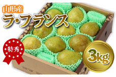 山形産 「ラ・フランス」 特秀品 3kg (8～13玉)【令和7年産先行予約】 FS24-086 くだもの 果物 フルーツ 山形 山形県 山形市 2024年産