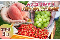 【定期便3回】みんな大好き！３種の美味しい果物定期便 FY24-088