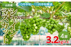 山形市産 シャインマスカット 3.2kg以上(4房)【後半】 FY24-058