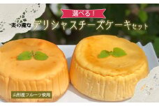 東の魔女 山形産フルーツ使用デリシャスチーズケーキセット(プレーン＆ブルーベリー)【思いやり型返礼品】  FY24-115