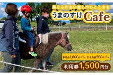 うまのすけCafe 利用券 1,500円分(乗馬券1,000円、引き馬券500円) FY24-197