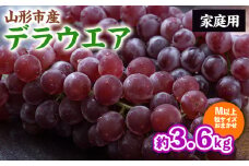 【ご家庭用】山形のデラウェア M以上 約3.6kg(18～37房)[粒サイズおまかせ] 訳あり 山形 山形県 山形市 フルーツ 果物 くだもの 送料無料 ぶどう 葡萄 ブドウ デラウェア FZ24-186