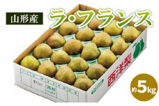 山形のラ・フランス 秀品 約5kg(12～20個) FY25-828