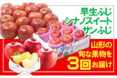 【定期便3回】☆フルーツ王国山形☆りんご３品種(早生ふじ・シナノスイート・サンふじ) FY24-280