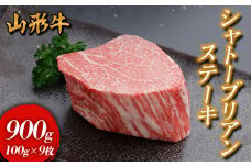 山形牛 シャトーブリアンステーキ 900g(100g×9枚入) FY24-298
