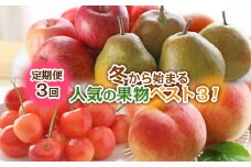 【定期便3回】冬から始まる 人気の果物ベスト3！ FY24-302