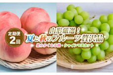 【定期便2回】山形厳選！夏と秋のフルーツ贅沢品(柔らかくなる桃、シャインマスカット) 【令和7年産先行予約】FS24-746